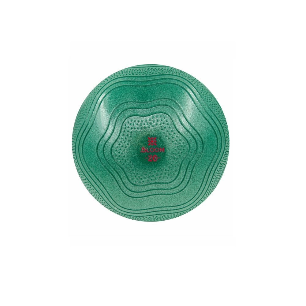 Mini Pilates lopta 20cm zelena