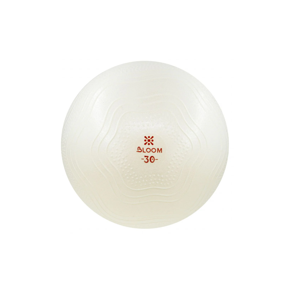 Mini Pilates lopta 30cm bijela
