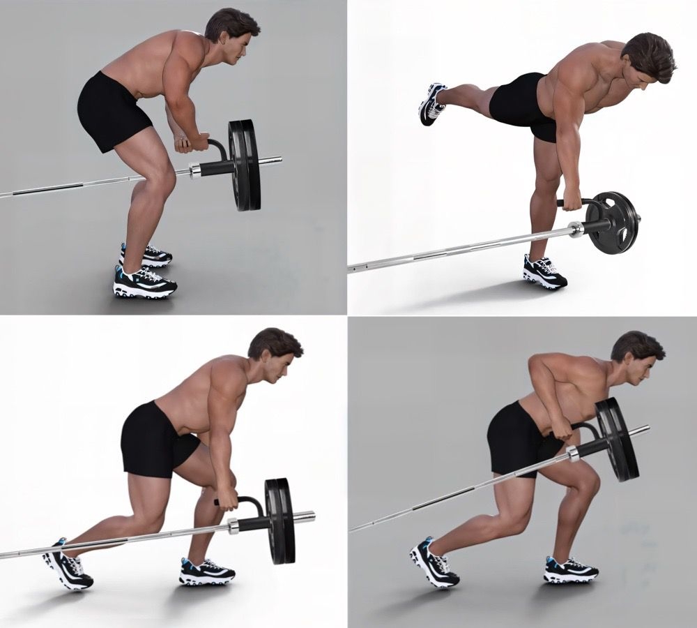 Ručka za olimpijsku šipku – nastavak za veslanje LivePRO LP8187