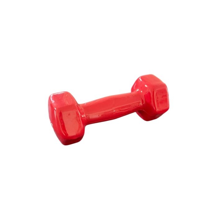 Bučica 2kg heksagonalna plastificirana Fight Line crvena