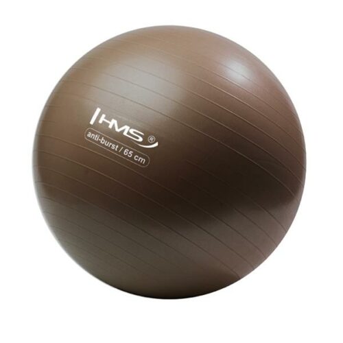 Pilates lopta 65 cm smeđa