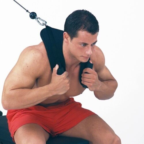 Ab Crunch Harness Insportline